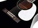 Richwood Heritage HSD-55-BK Chitarra acustica dreadnought
