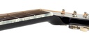 Richwood Heritage HSD-55-BK Chitarra acustica dreadnought