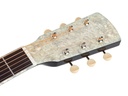 Richwood Heritage HSD-55-BK Chitarra acustica dreadnought