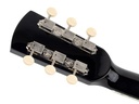 Richwood Heritage HSD-55-BK Chitarra acustica dreadnought