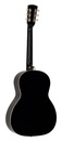 Richwood HSP-55-GN Chitarra acustica parlor