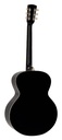 Richwood HSJ-55-GS Chitarra acustica jumbo