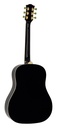 Richwood Heritage HSDS-42 Chitarra acustica dreadnought
