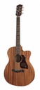 Richwood A-50-CE Chitarra acustica auditorium elettrificata