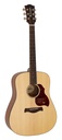 Richwood D-220 Chitarra acustica dreadnought