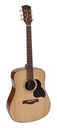 Richwood D-240 Chitarra acustica dreadnought