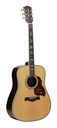 Richwood D-270-VA Chitarra acustica dreadnought