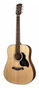 Richwood D-40 Chitarra acustica dreadnought
