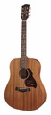 Richwood D-50 Chitarra acustica dreadnought