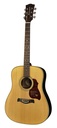 Richwood D-65-VA Chitarra acustica dreadnought