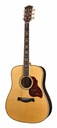 Richwood D-70-VA Chitarra acustica dreadnought
