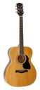 Richwood RA-12 Chitarra acustica auditorium