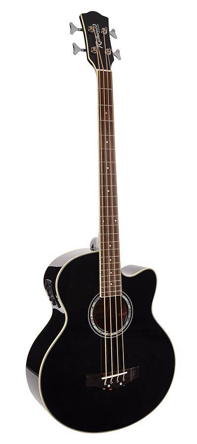 Richwood RB-102-CEBK Basso acustico elettrificato, nero