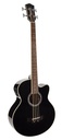 Richwood RB-102-CEBK Basso acustico elettrificato, nero