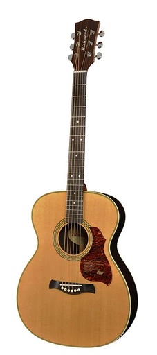 [A-65-VA] Richwood A-65-VA Chitarra acustica auditorium