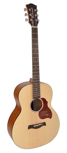 [B-20] Richwood B-20 Chitarra acustica baritona