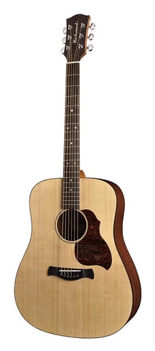 [D-20] Richwood D-20 Chitarra acustica dreadnought