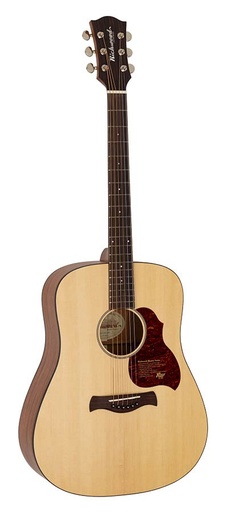 [D-220] Richwood D-220 Chitarra acustica dreadnought
