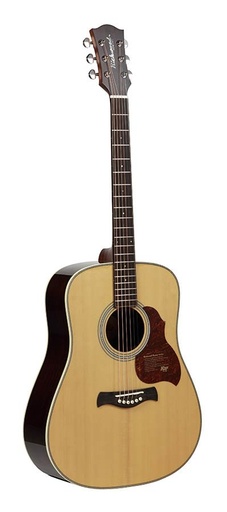 [D-265-VA] Richwood D-265-VA Chitarra acustica dreadnought