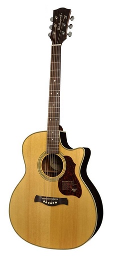 [G-65-CEVA] Richwood G-65-CEVA Chitarra acustica grand auditorium elettrificata