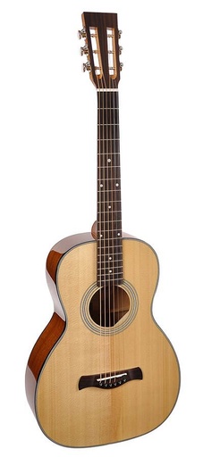 [P-40] Richwood P-40 Chitarra acustica parlor