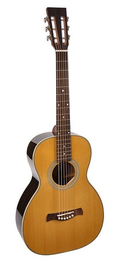 [P-65-VA] Richwood P-65-VA Chitarra acustica parlor