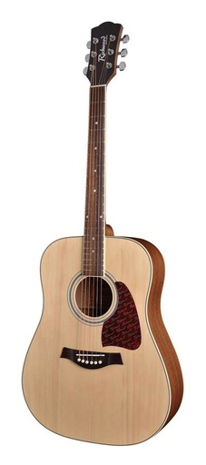 [RD-16] Richwood RD-16 Chitarra acustica dreadnought