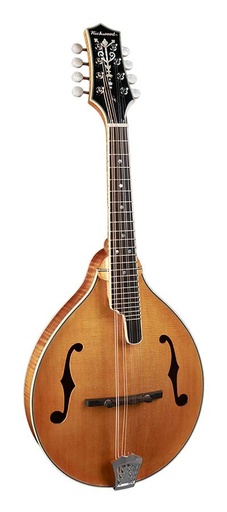 [RMA-110-VS] Richwood RMA-110-VS Mandolino A style
