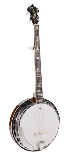 [RMB-905] Richwood RMB-905 Banjo folk 5 corde closed back