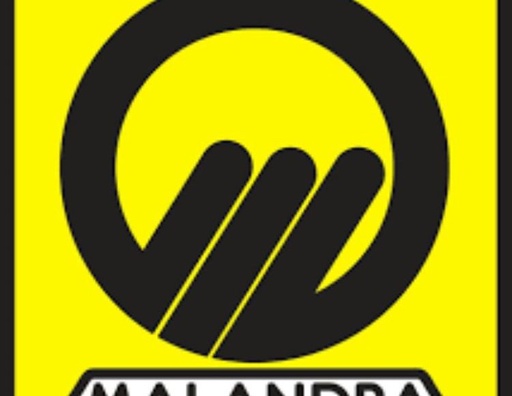 G. MALANDRA STRUMENTI MUSICALI SRL